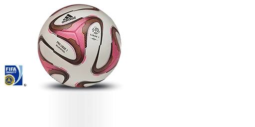 FIFA 14 "France Ligue1 14/15 ball"