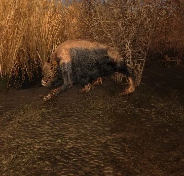 S.T.A.L.K.E.R.: Call of Pripyat "Новые кабаны (ТЧ-ЧН/ЗП)"