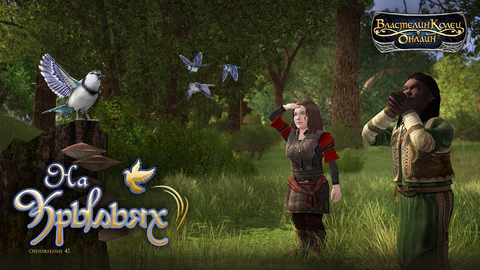 В The Lord of the Rings Online открылось два новых сервера, а также было установлено обновление "На крыльях"