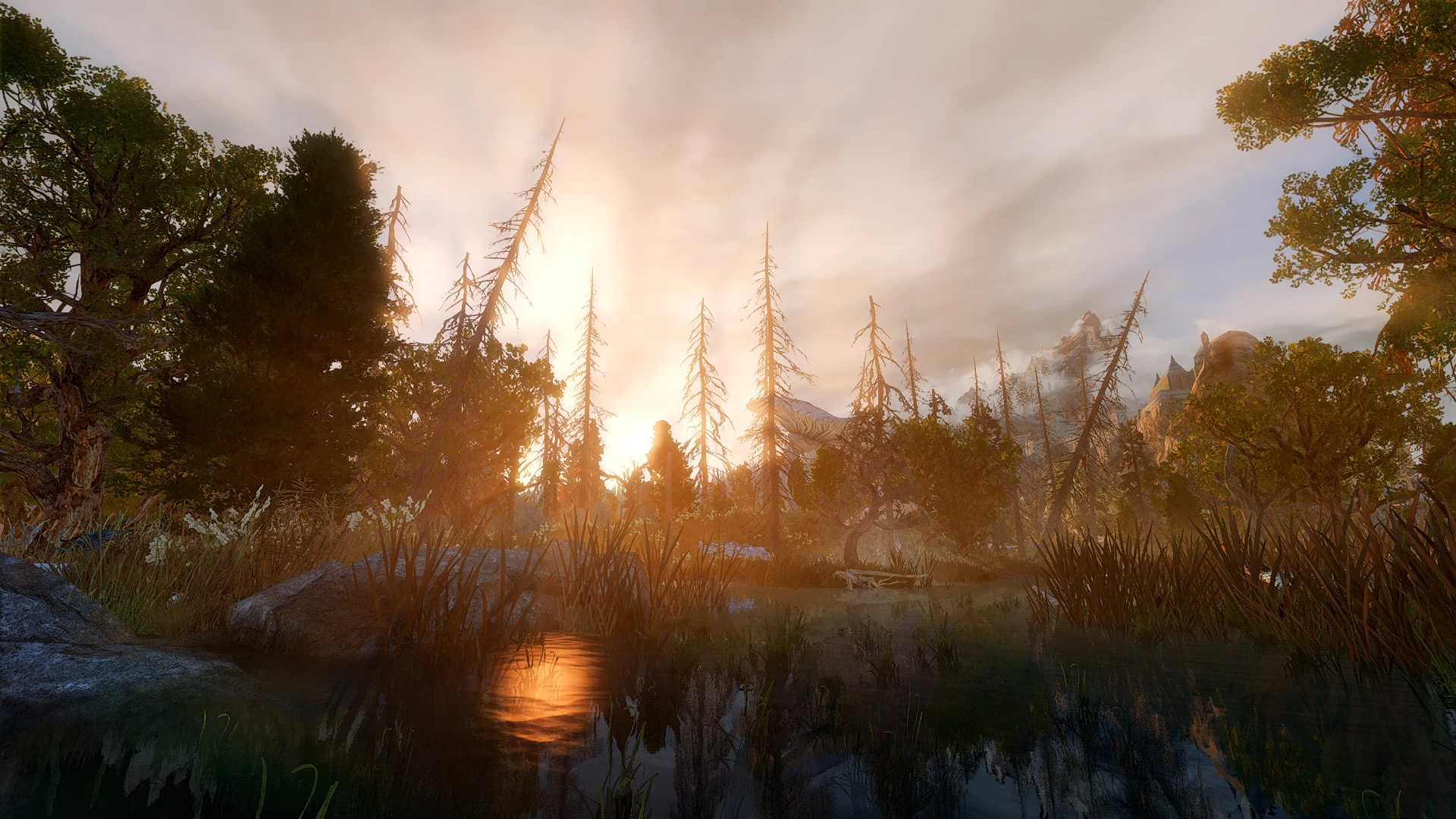 Для Skyrim выпущен мод с динамическим объемным освещением и тенями от солнца