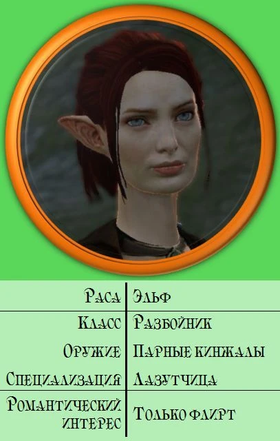 Dragon Age 2 - Персонажи - Спутники