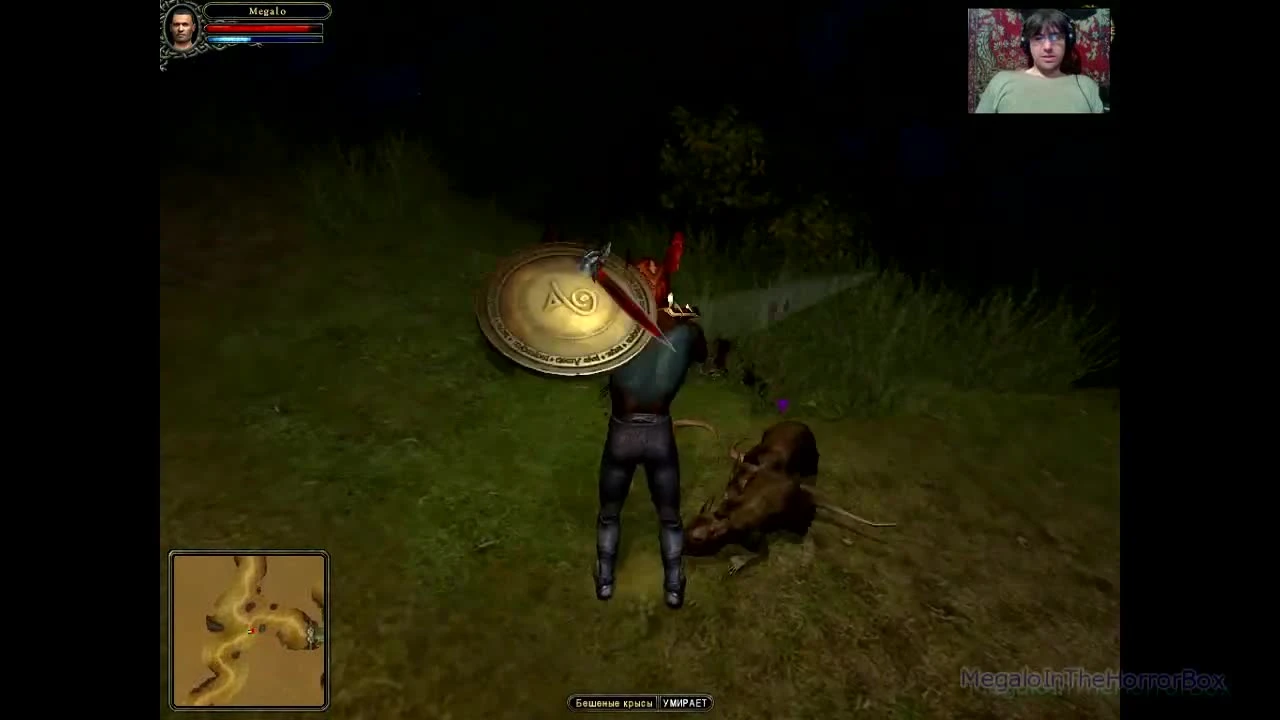 Dungeon Lords - Квесты Аркан - Боевой Маг (прохождение на русском)