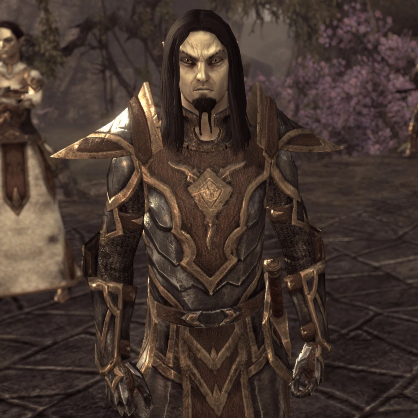 The Elder Scrolls 5: Skyrim - Существа - Расы - Древние