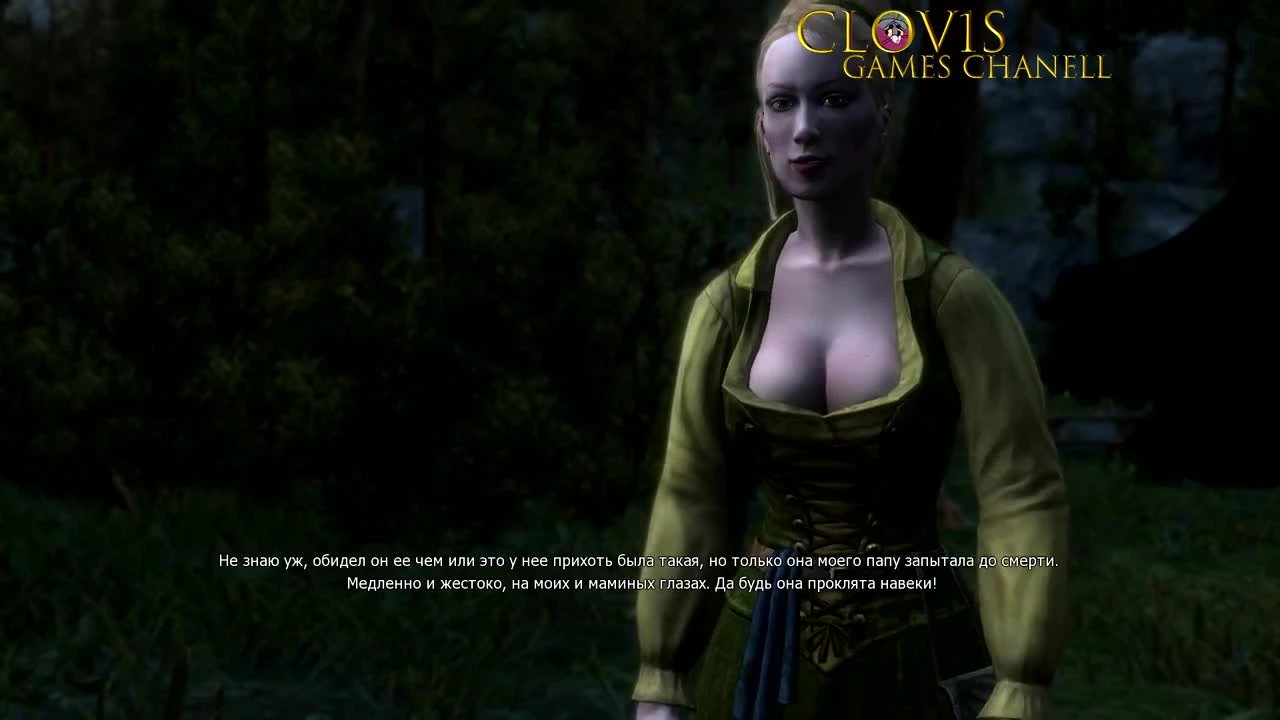 ВЕДЬМАК [DLC: Цена Нейтралитета] - Баги и новая история #1