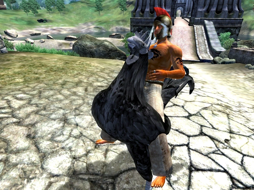 TES 4: Oblivion "Ездовые петухи"