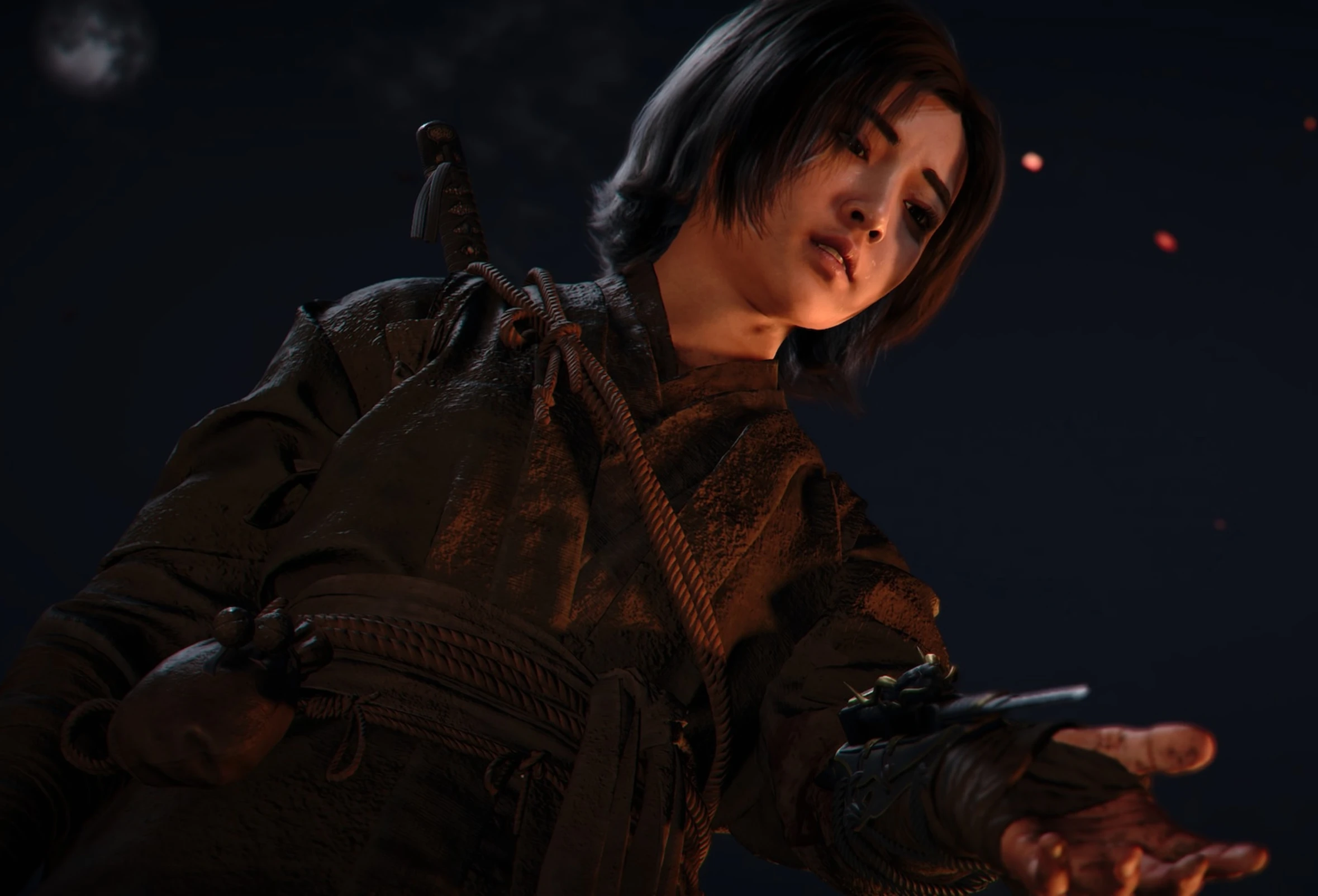 Все варианты романов в Assassin's Creed Shadows