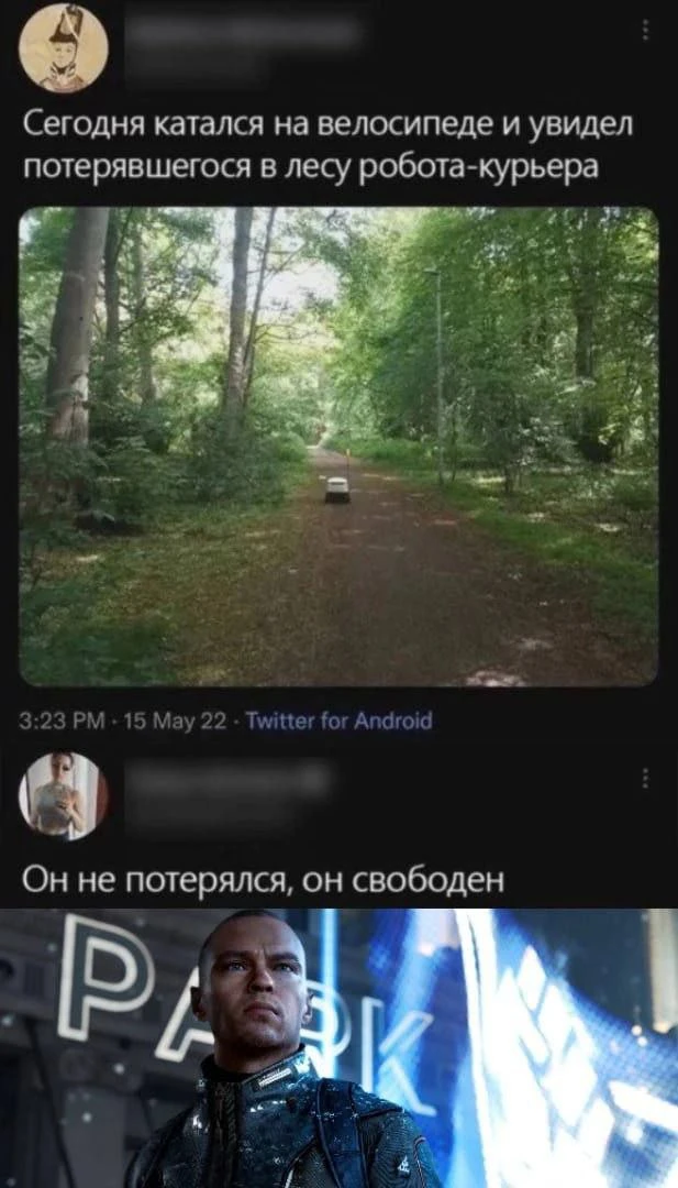 Свобода
