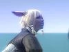 Запись на открытый бета-тест Final Fantasy XIV началась