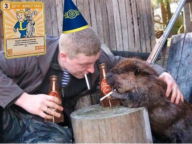 Друг животных