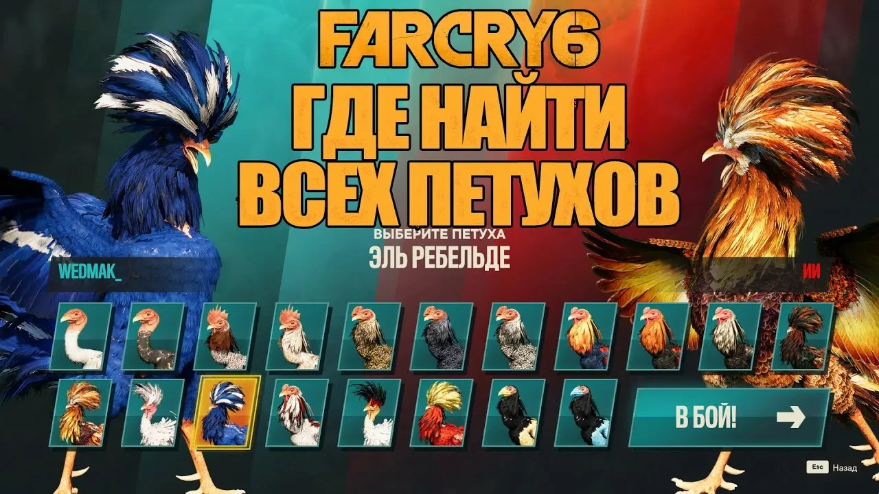 Far Cry 6 - Где найти всех бойцовых петухов