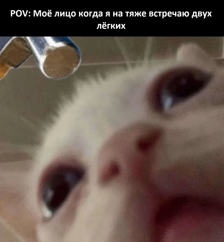 Типикал игра на тяже