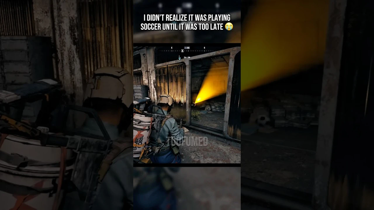 Он просто хотел поиграть с мячиком