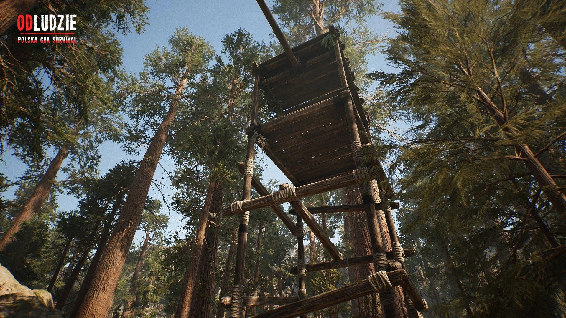 Медведи, грибы и голод: анонсирована выживалка Odludzie