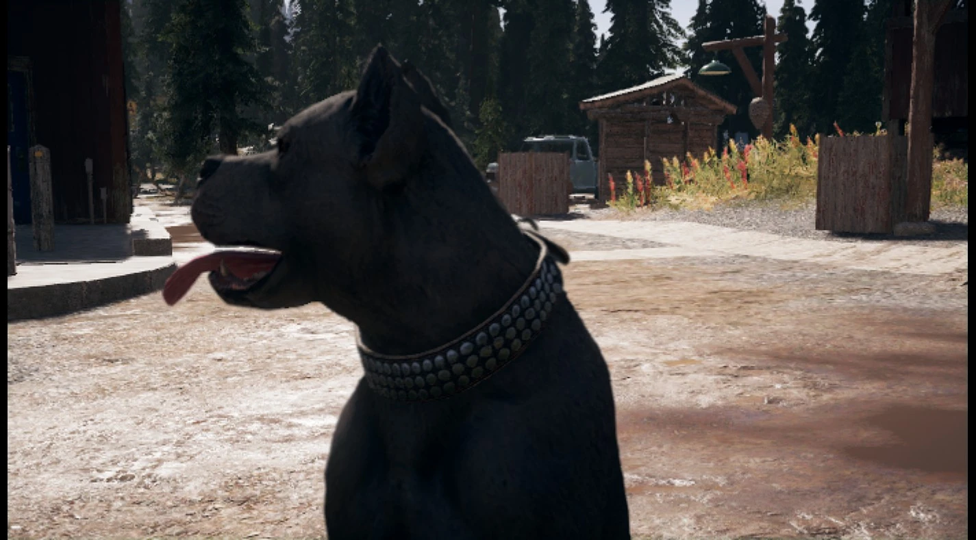 Far Cry 5 "Рескин для Бумера"