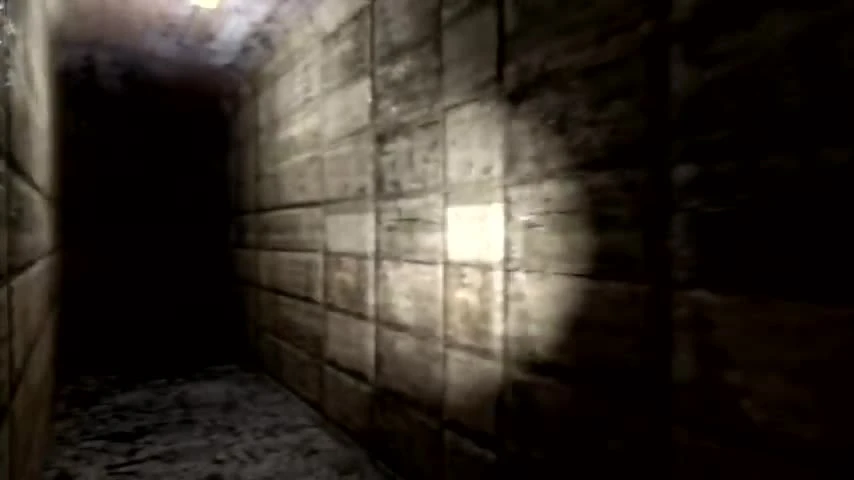 Геймплей Pangaea: New World