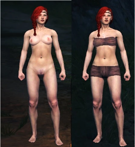 Dragon's Dogma "Нуд мод для игры с руссификатором от Alliance Team"