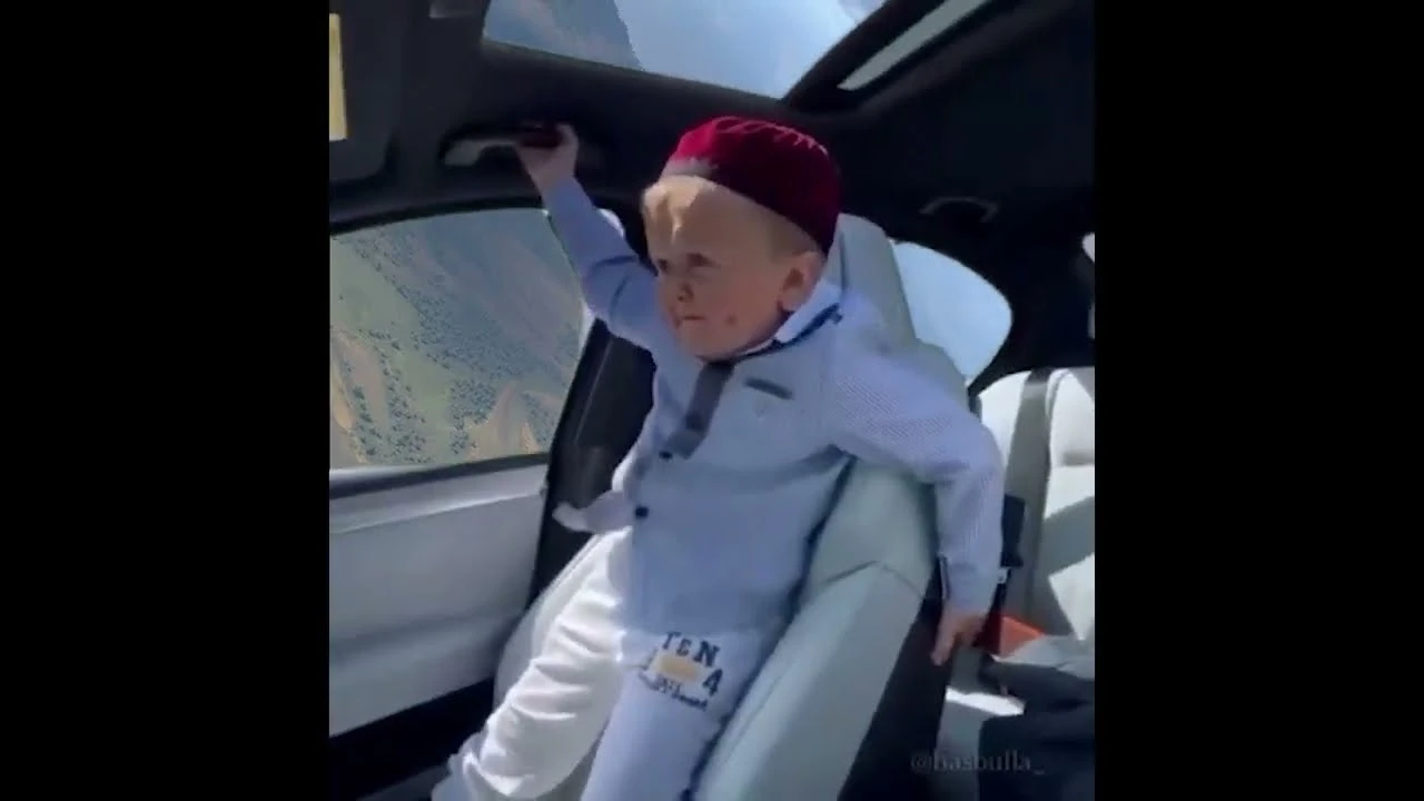 Свободная птица