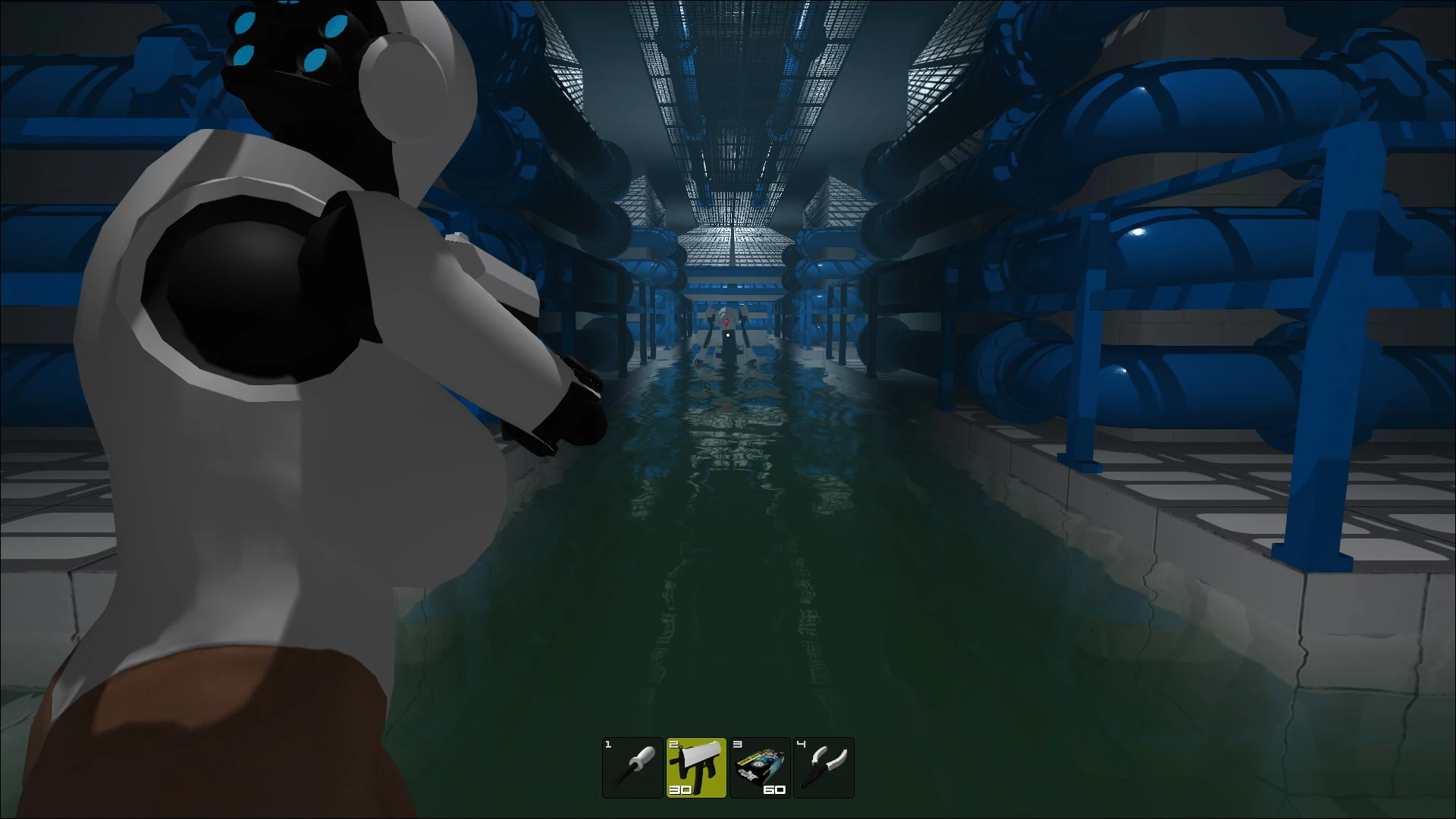 В Steam Greenlight появилась игра под названием Haydee