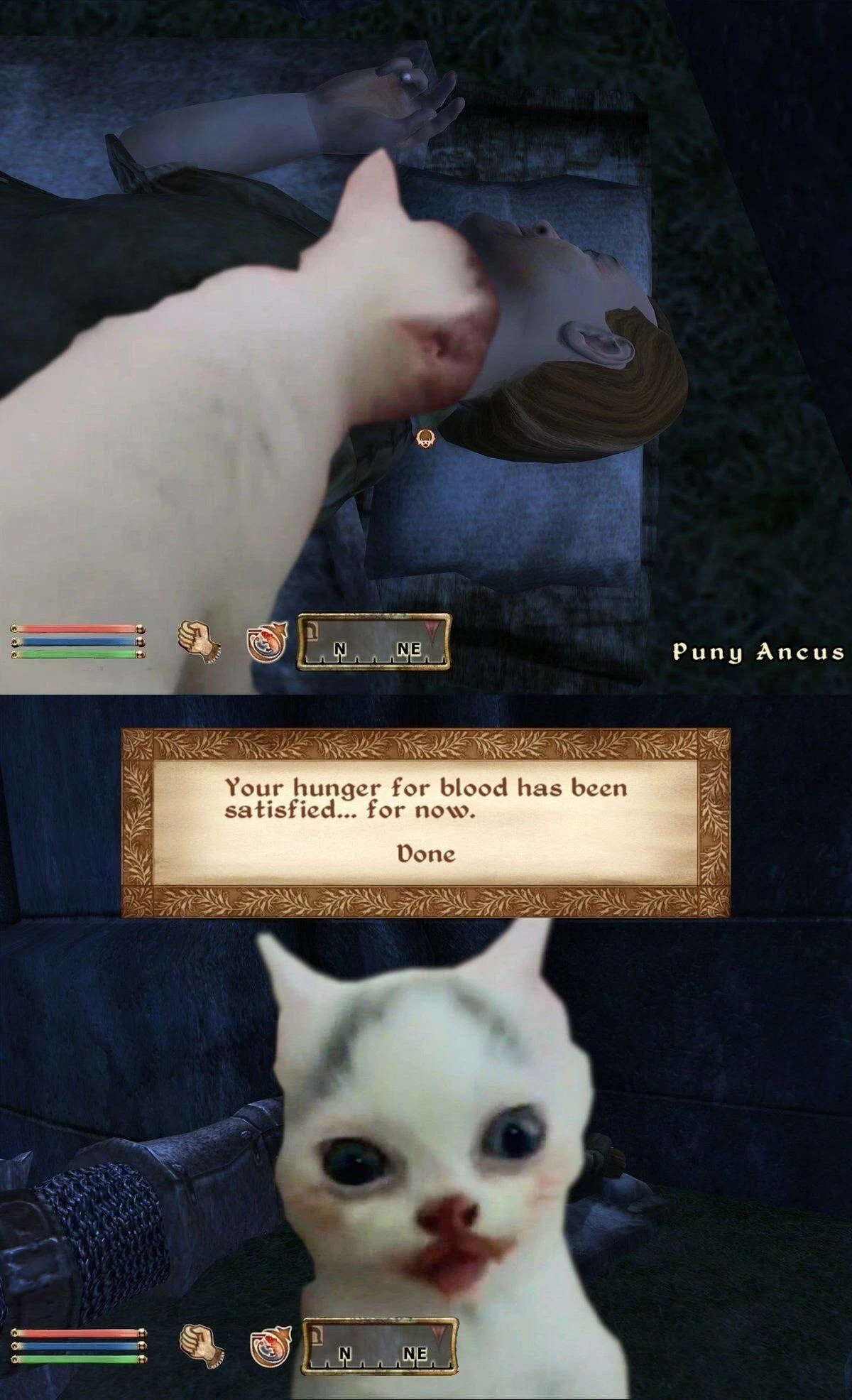 Оторвали от любимого лакомства