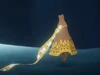 Thatgamecompany готовит к релизу свой третий проект под названием Journey