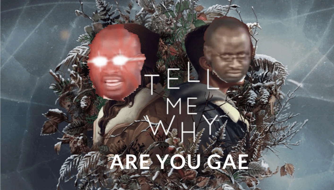 You are gae
