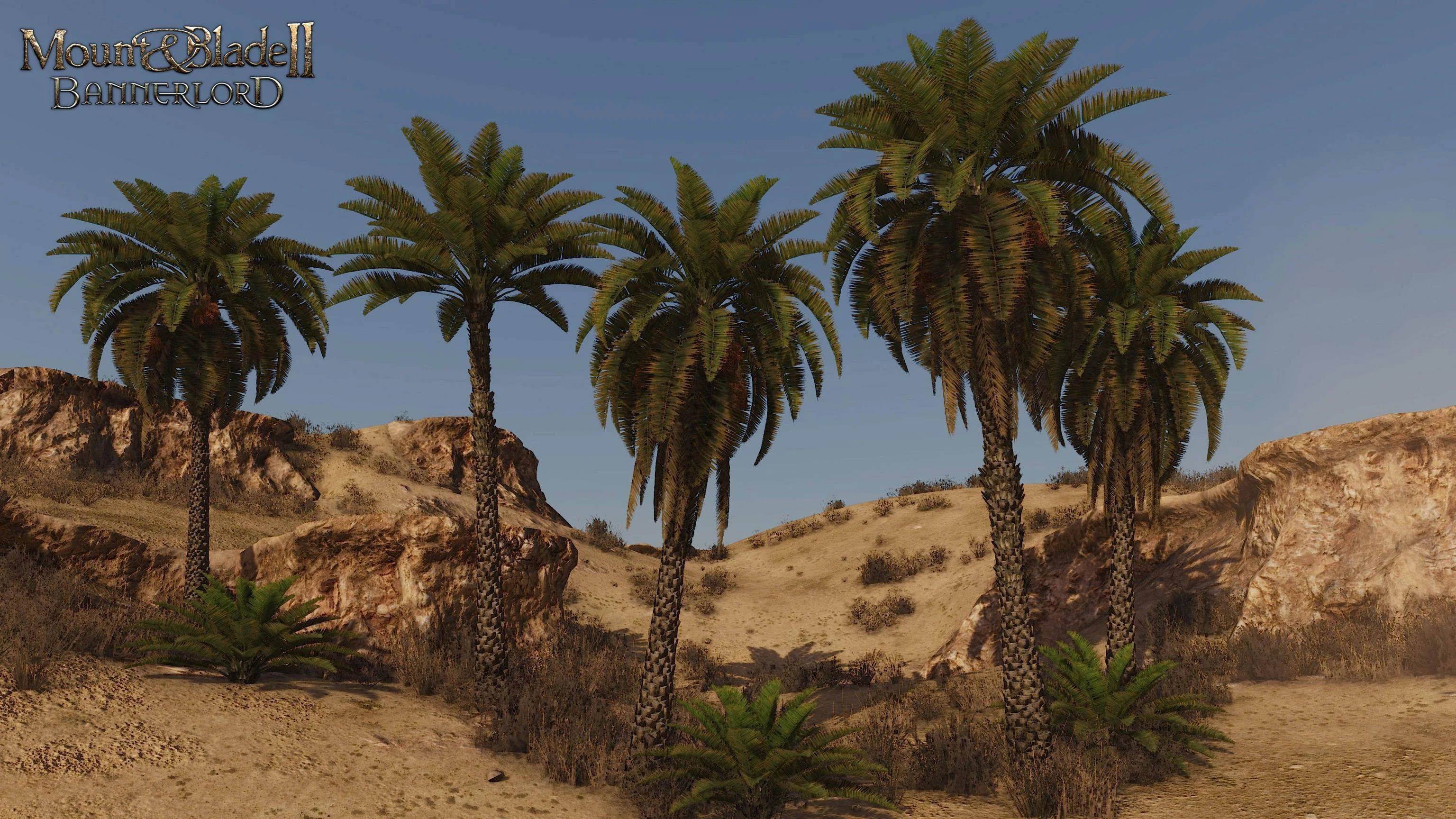 Mount & Blade II: Bannerlord. Блог Разработчиков 93. Интервью с 3D-художником