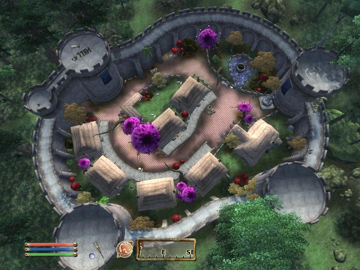 TES 4: Oblivion "Большой Лесной рынок"