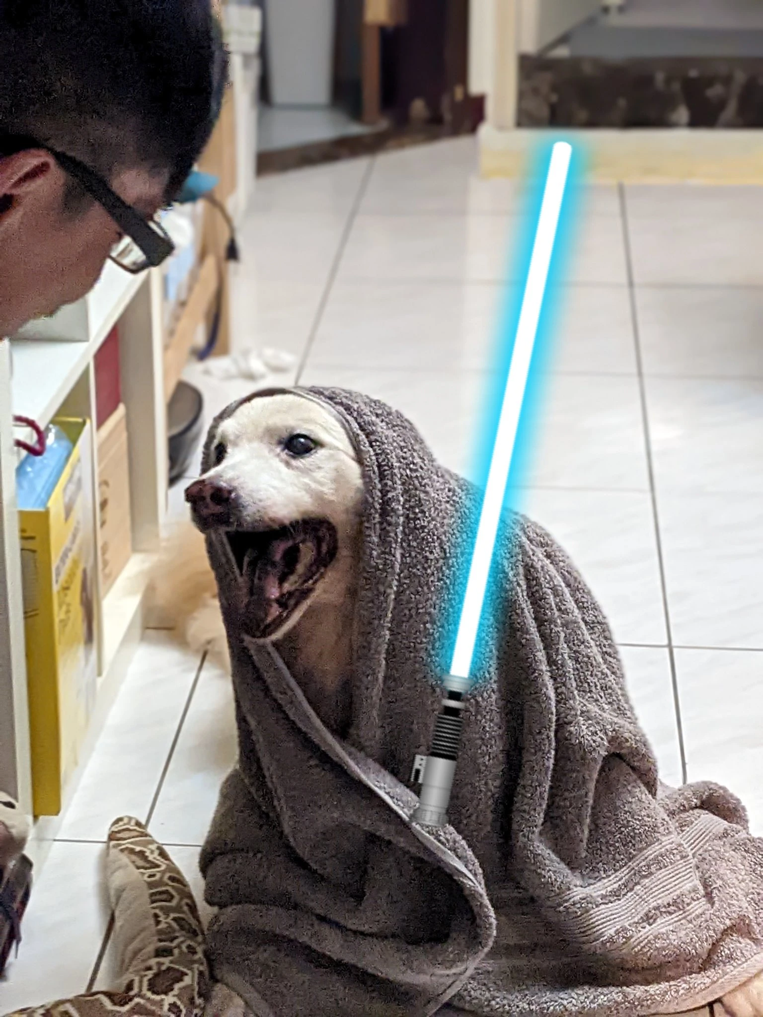 Кэл решил завести собаку и обучить ремеслу джедаев