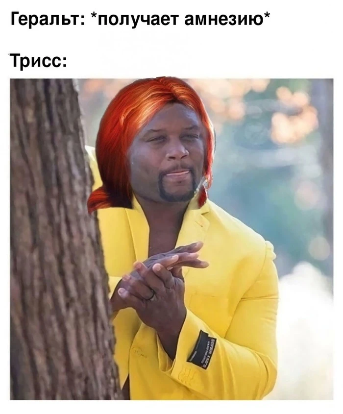 Трисс когда Геральт заработал амнезию