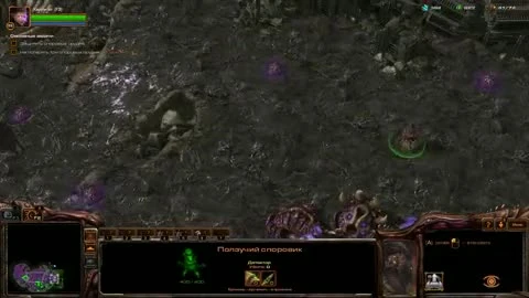 StarCraft 2: Heart of the Swarm "Прохождение, Миссия 18, Эксперт"