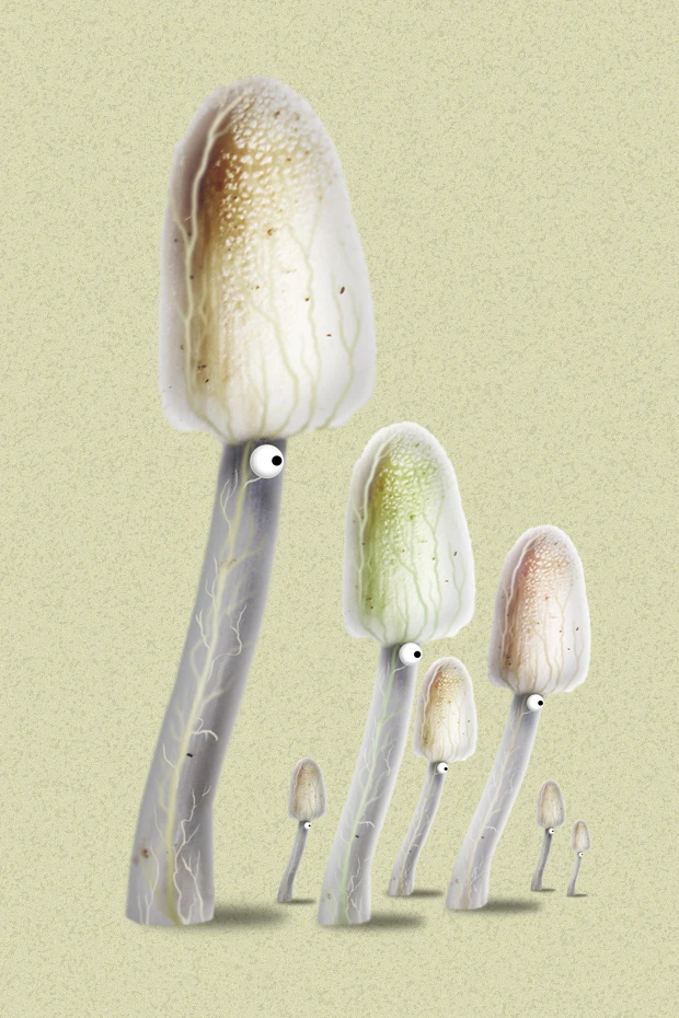 Botanicula "Artworks (Арты)"