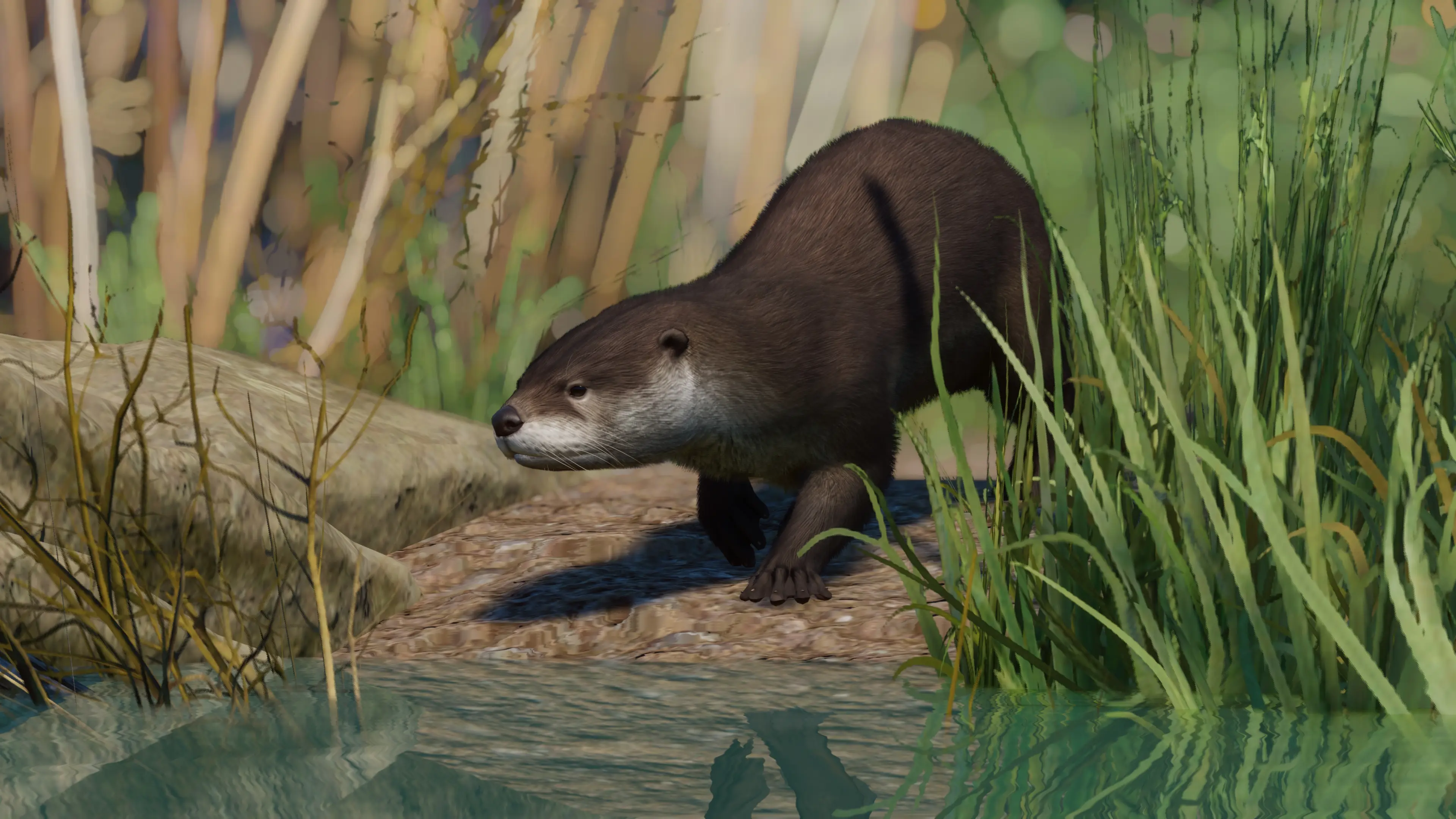 Planet Zoo "Североамериканская речная выдра - новый вид"