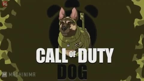 Call of Duty Пёс!!! [Анимация]