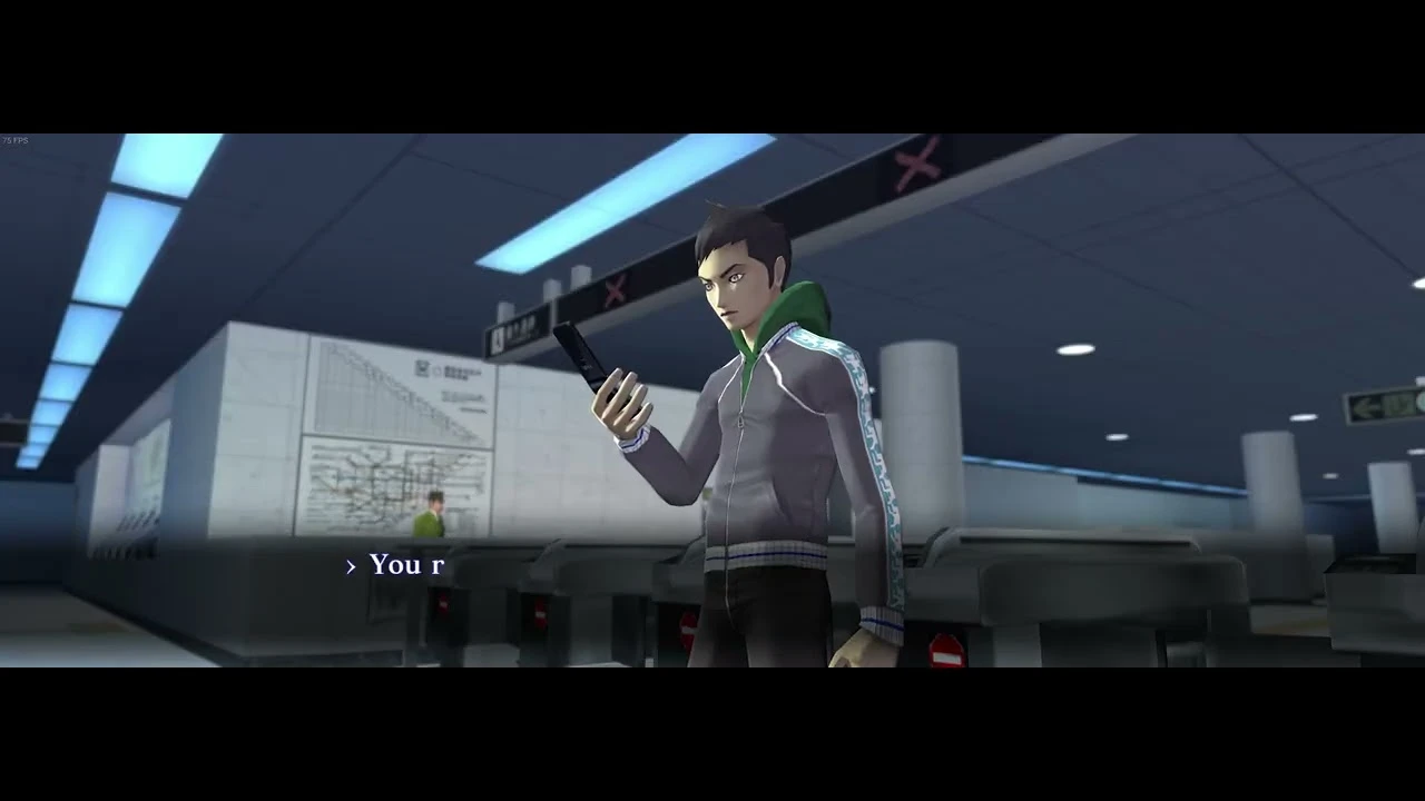 Shin Megami Tensei 3: Nocturne "Конфигуратор графики"