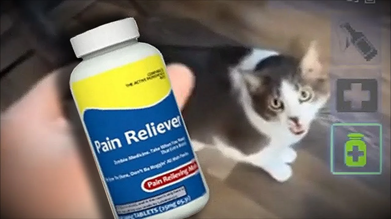 Кошки и таблетки