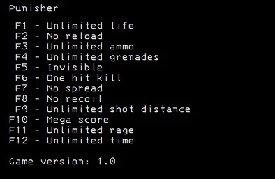 The Punisher: Трейнер/Trainer (+12) [1.0] {LIRW / GHL}
