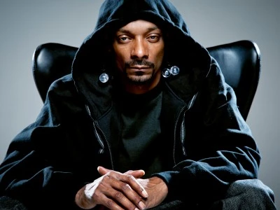 Игровые журналисты обвинили Снуп Догга в плагиате