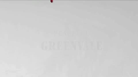 Deadly Premonition: The Director's Cut "Трейлер"