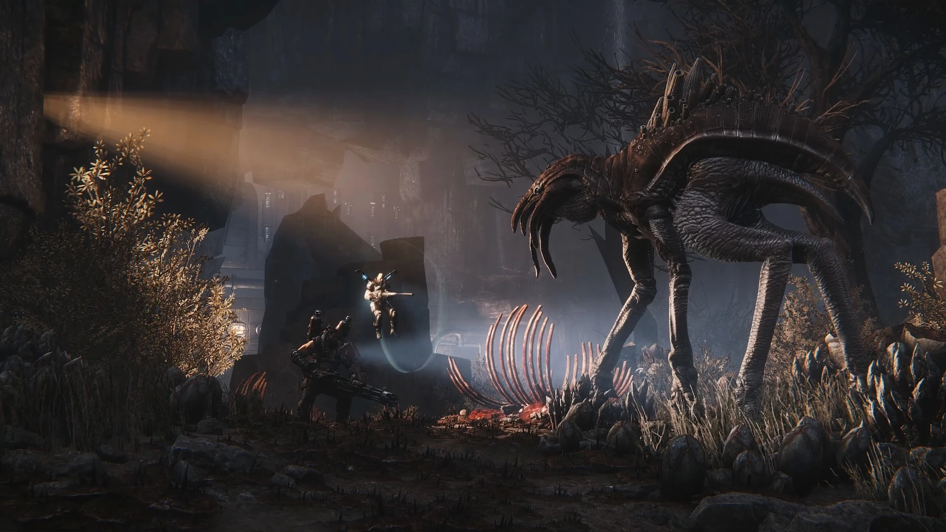 Креативный директор Evolve считает, что "DLC доят сообщество"