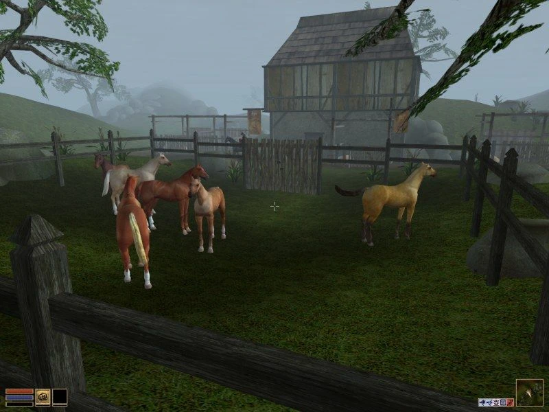 Morrowind "Лошадиная ферма"