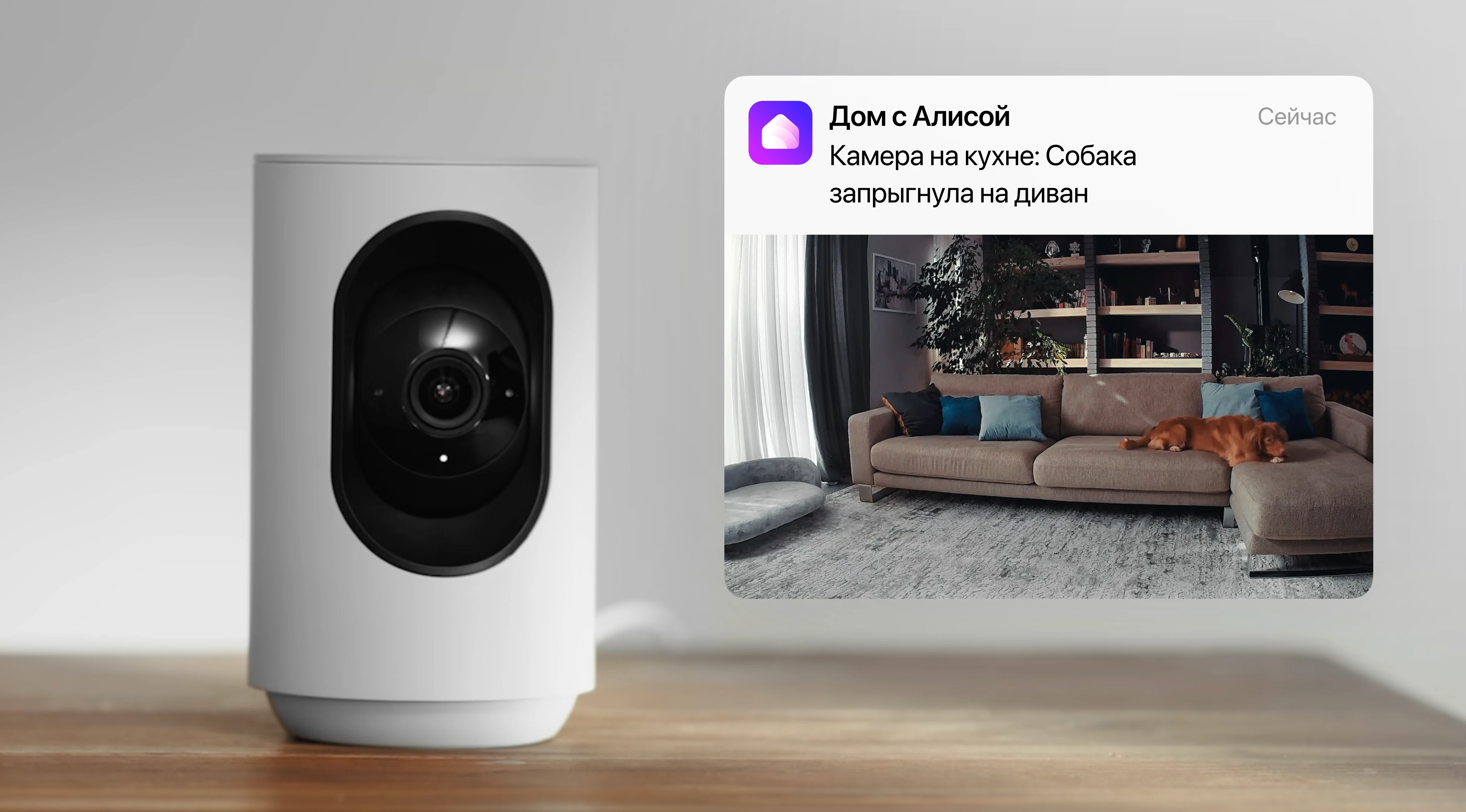 Яндекс внедрил ИИ-распознавание событий в умную IP-камеру