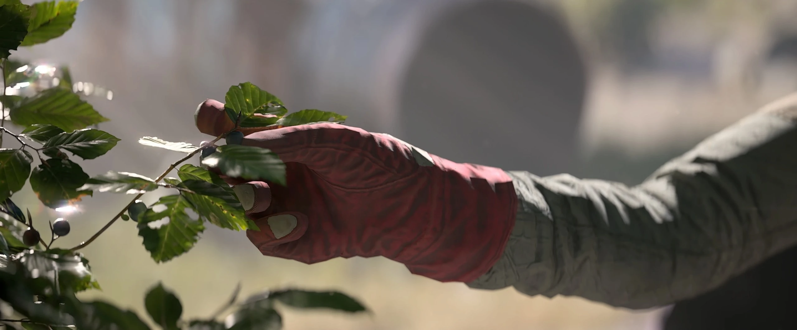 Разработчик Palworld назвал Arc Raiders "техническим чудом" на Unreal Engine 5