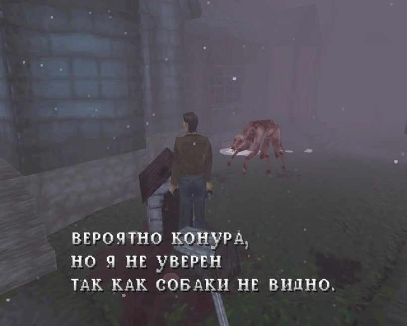 А где же собака?