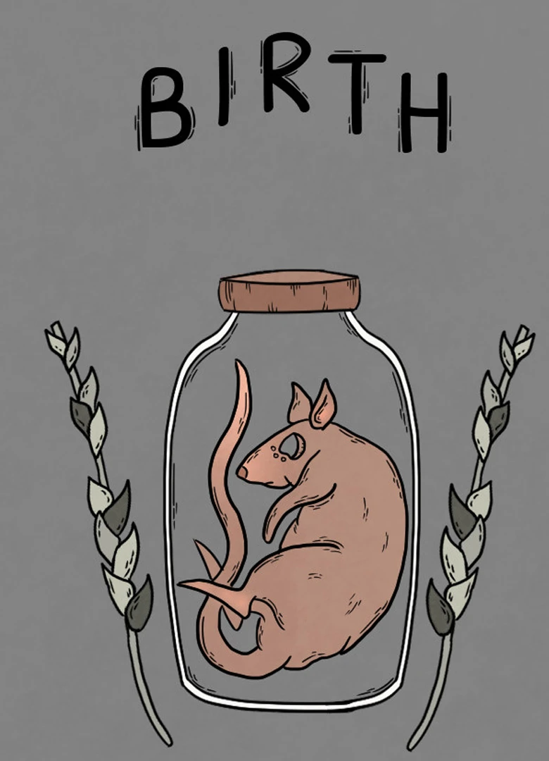 Birth