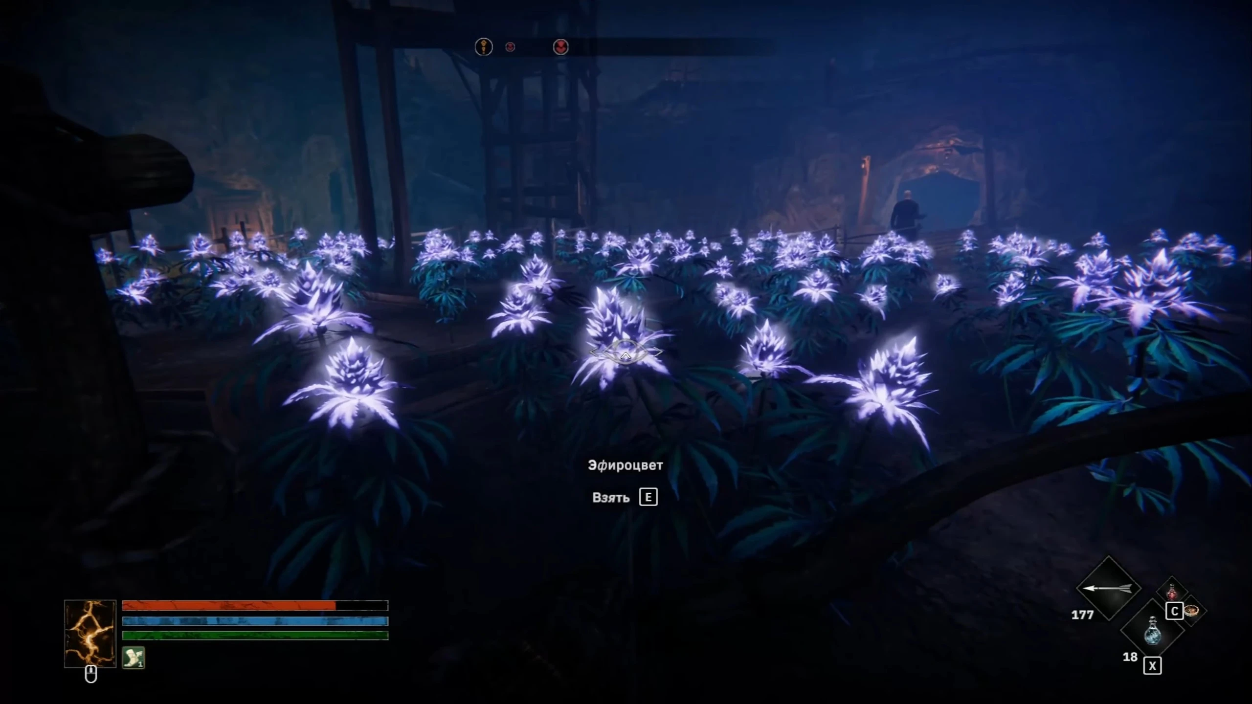 Где найти марь-камень и эфироцвет в Tainted Grail: The Fall of Avalon для задания и обычной крафта