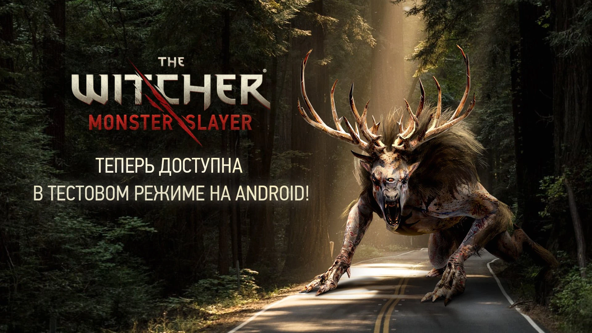 В России началось тестирование The Witcher: Monster Slayer на Android