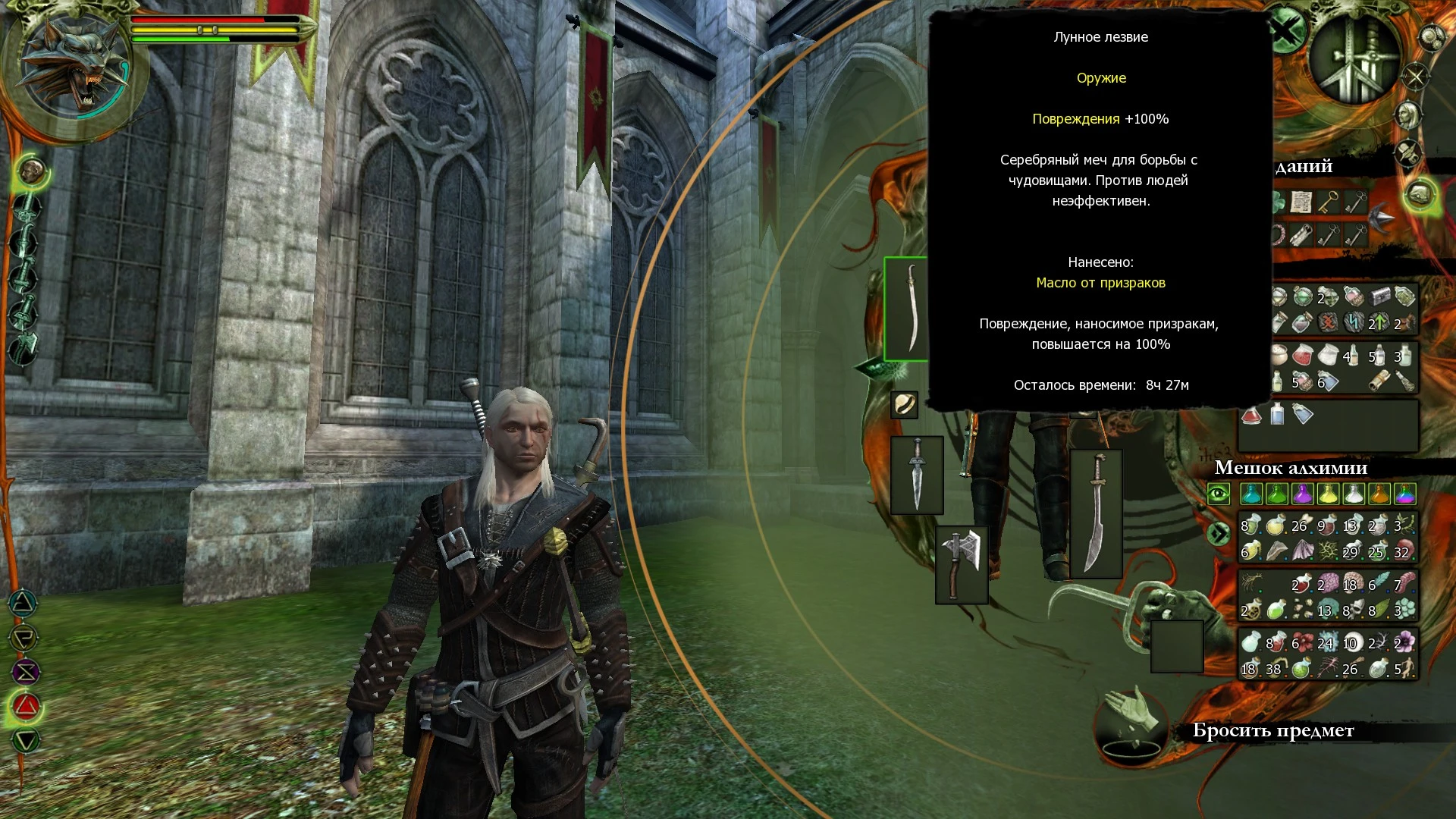 The Witcher "Сохранение для переноса за Орден"