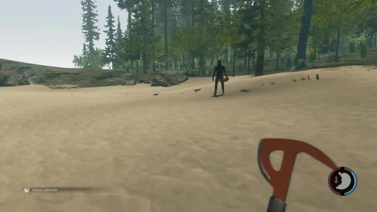 The Forest. Жертва или охотник?