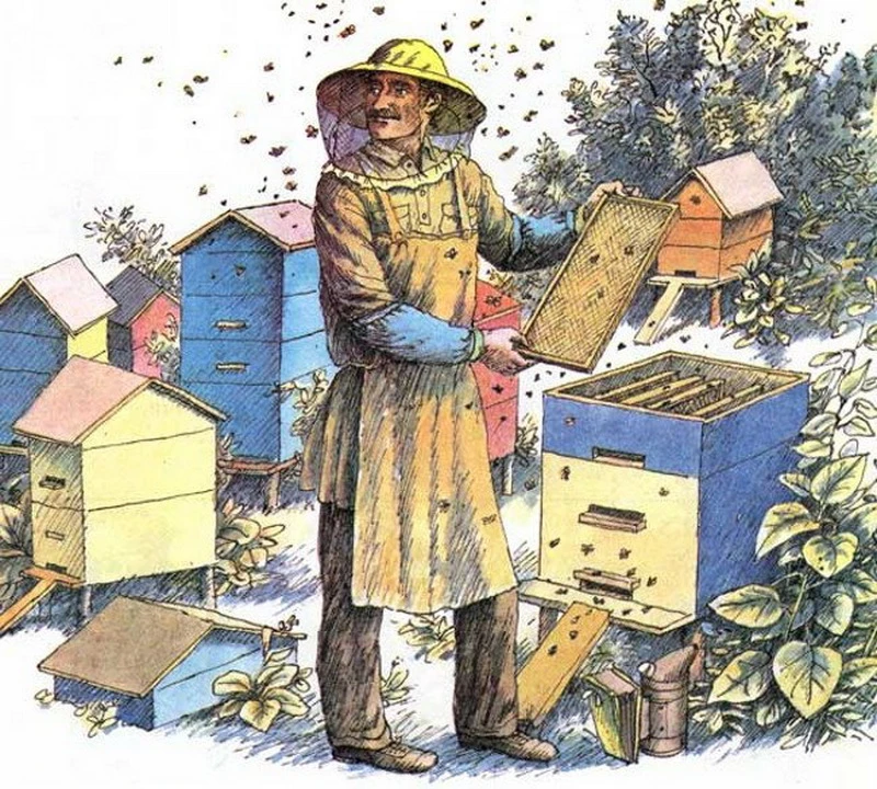 The Sims 2 ''Карьера Пчеловодство на русском языке''