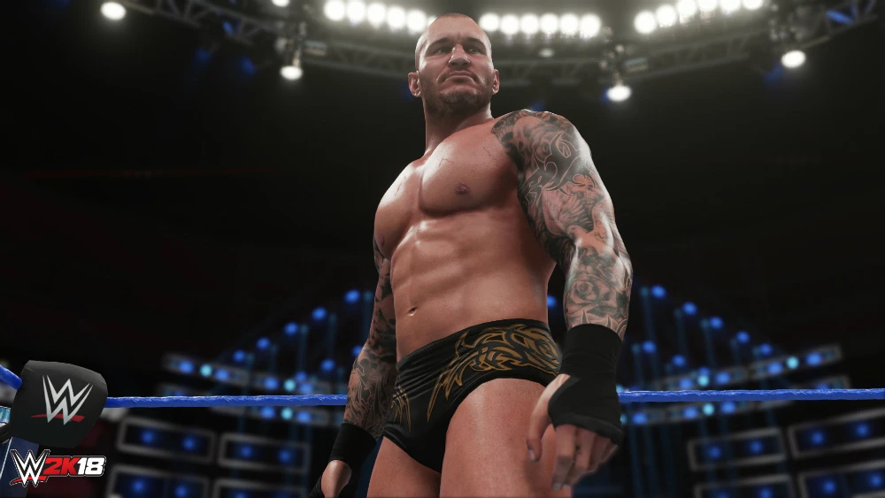 Появились системные требования PC-версии WWE 2K18